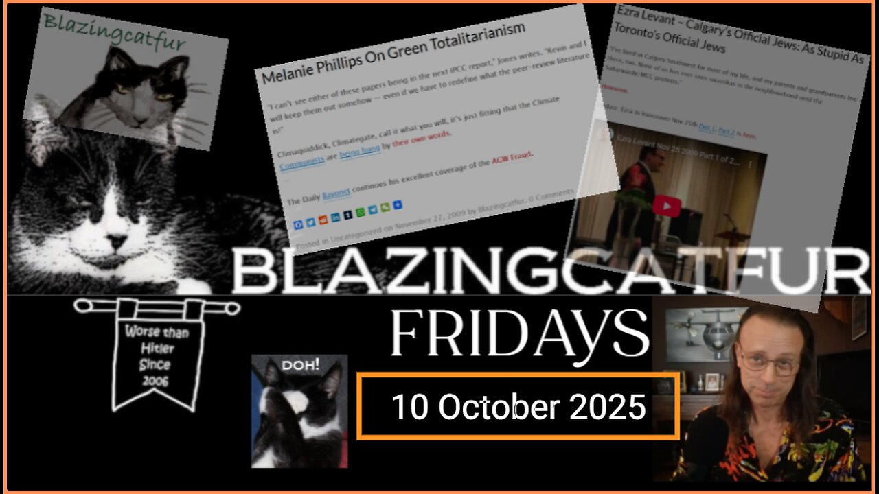 Blazing Cat Fur Fridays - 10 October, 2025