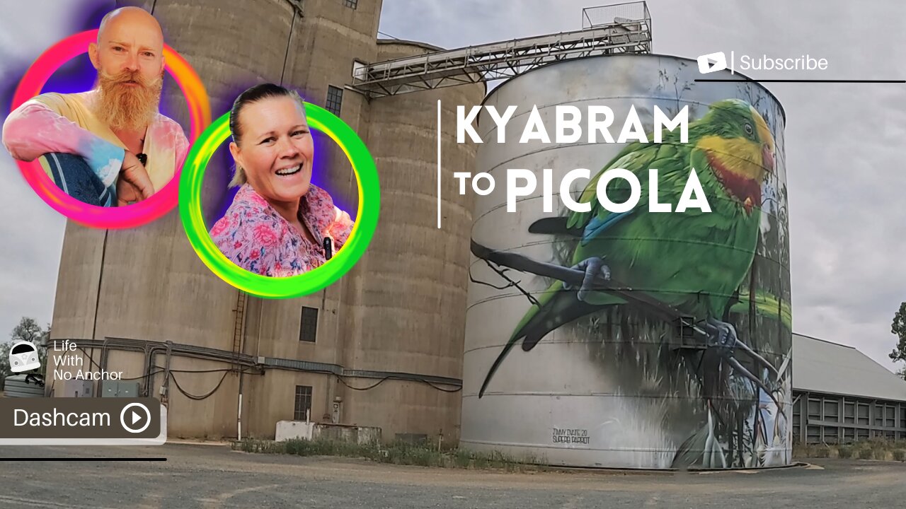 HIDDEN GEM ALERT: Kyabram to Picola Silo Art Trail - Australia's Rural Masterpieces 🎨