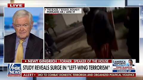 Newt Gingrich: The Left Has A Long History Of Violence 