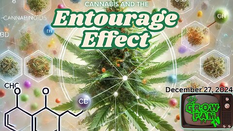 FAM FRIDAY GROW FAM TV EXPLORING THE ENTOURAGE EFFECT