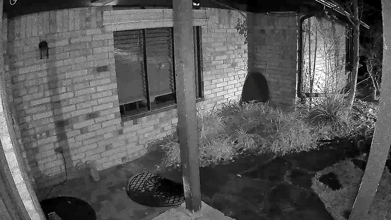 Why didn't you knock?