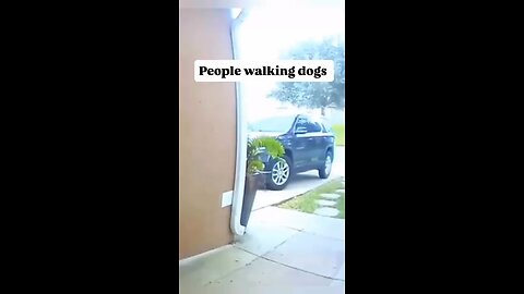 People walking dogs “ohhhh shit”