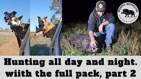 Hunting all day and night. with the full pack, part 2