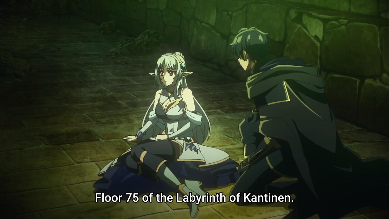 akira found an elf wifu | My Status as an Assassin Obviously Exceeds the Hero's