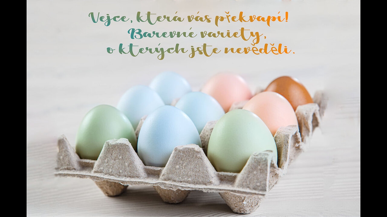 Slepičí vejce, která vás překvapí! Barevné variety, o kterých jste nevěděli.