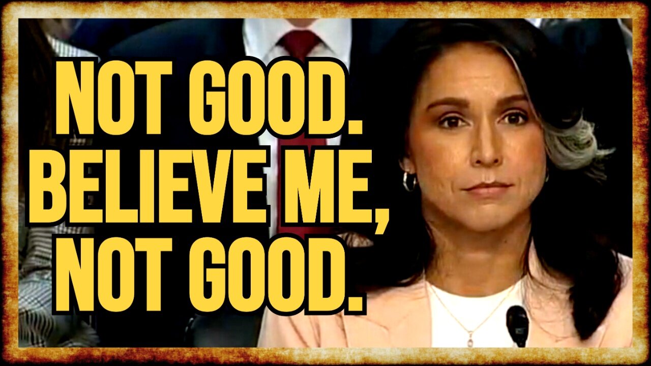 Tulsi SQUIRMS Under 'Signalgate' Questioning