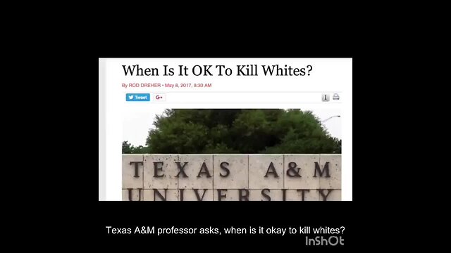 ZOOMER WAFFENS- THEIR IS HOPE AFTER ALL