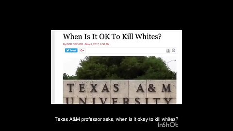 ZOOMER WAFFENS- THEIR IS HOPE AFTER ALL