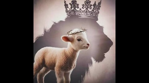 Messianic Prophecy: Jesus is spotless