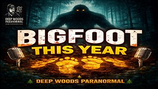 👉 Bigfoot Didn’t Disappear This Year — The Sightings Tell a Different Story