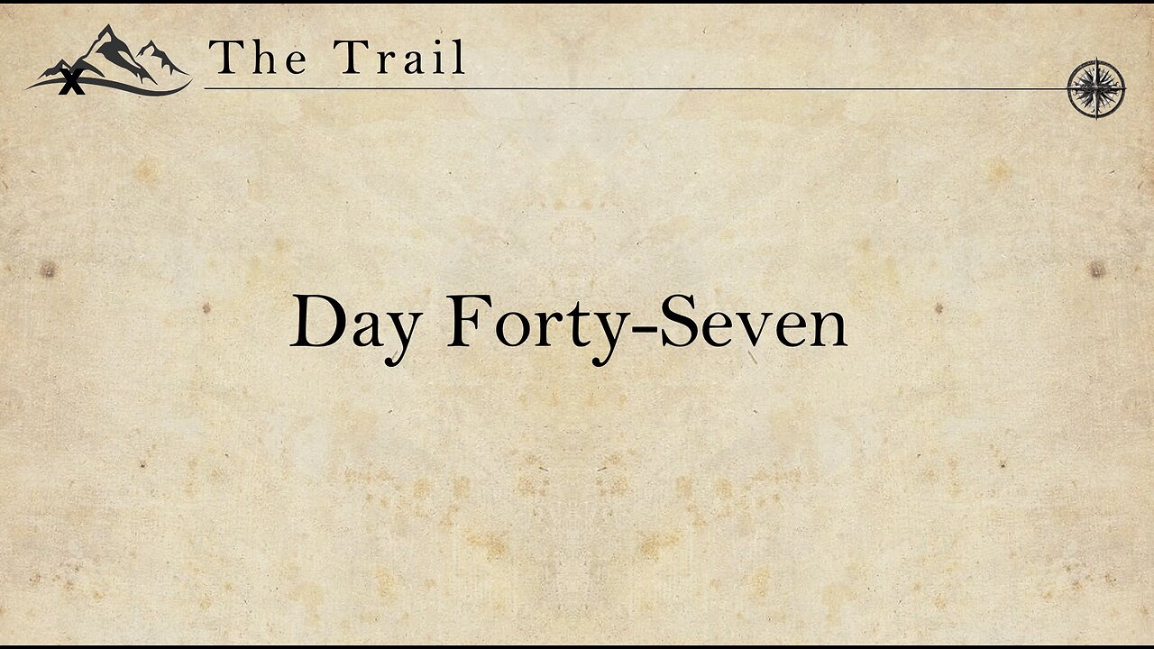 Day 47