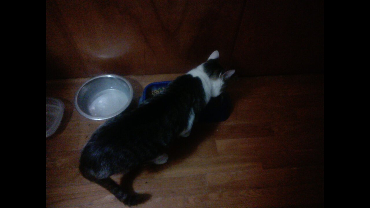 Who are these lesbians?