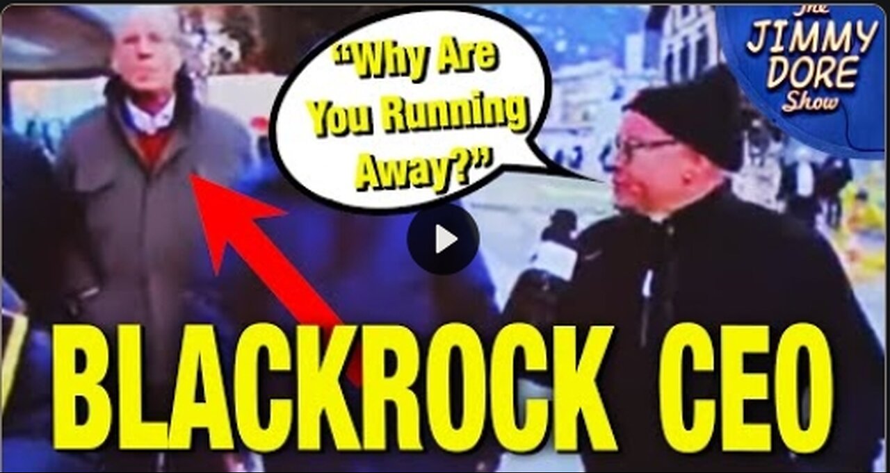Blackrock-CEO Larry Fink wird in Davos von Reportern konfrontiert! 😎