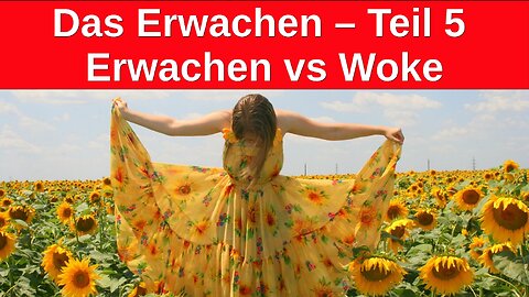 MeGGi - Das Erwachen - Teil 5 - Erwachen vs Woke