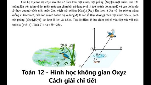 Gắn hệ trục tọa độ Oxyz sao cho O nằm trên mặt nước, mặt phẳng (Oxy)là mặt nước, trục Oz