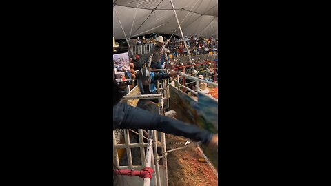Bull Gone Wild: Shocking Moment a Bull Attacks the Crowd!"