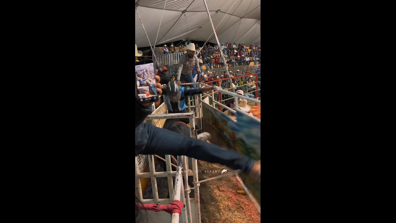 Bull Gone Wild: Shocking Moment a Bull Attacks the Crowd!"