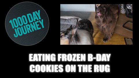 1000 Day Journey 0929 Eating Frozen Birthday Cookies on the Rug