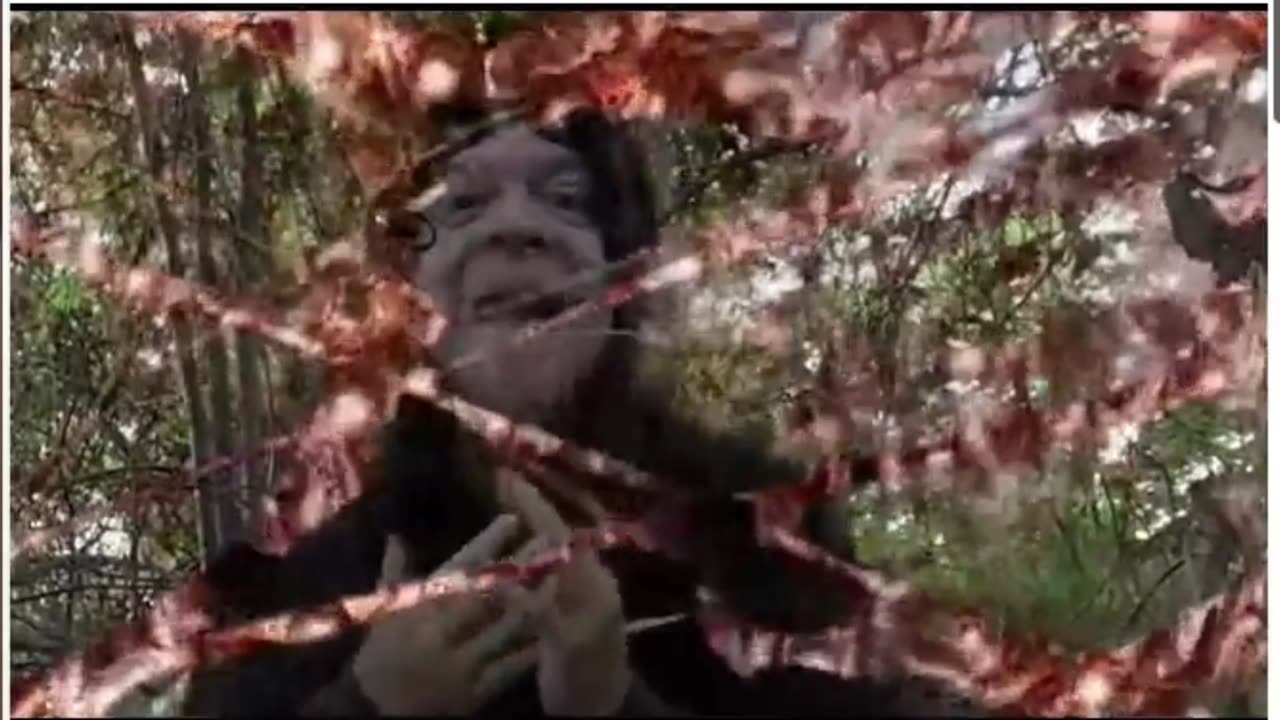 PARASITER - PARASITER