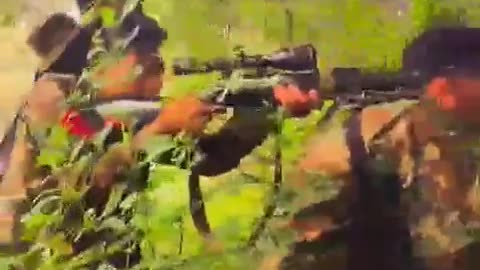 🌿💥 Myanmar War | PLC Guerrillas Ambush Pyusawhti Militiamen in Myaing Township | RCF