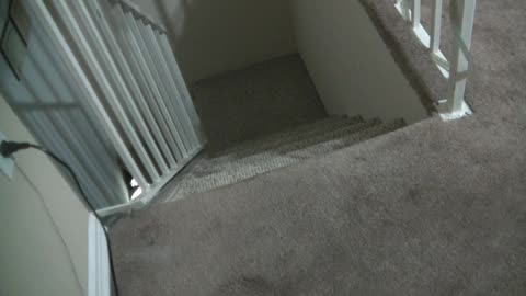 ‎June ‎27, ‎2019, ‏‎4:02:40 AM