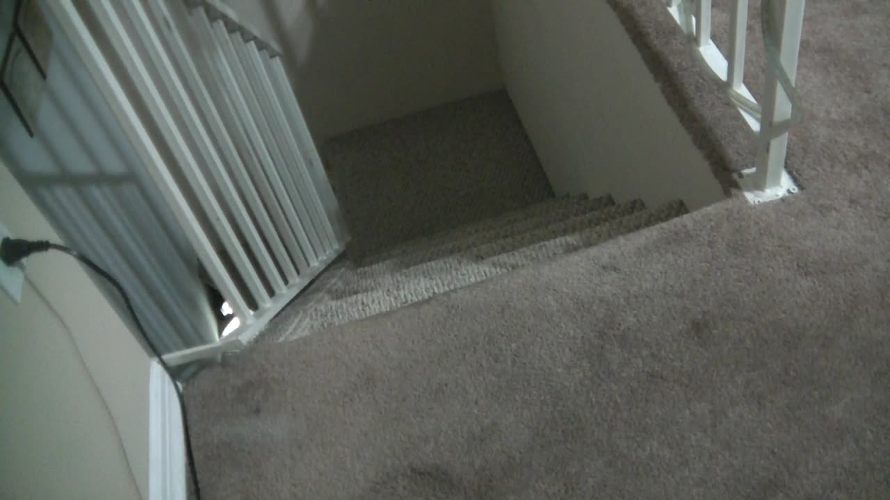 ‎June ‎27, ‎2019, ‏‎4:02:40 AM