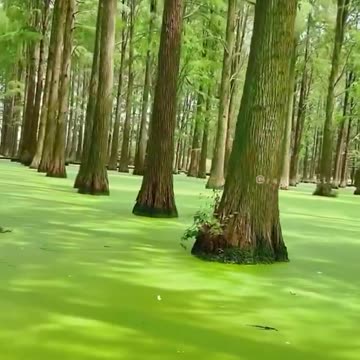 A little something to mess with your head