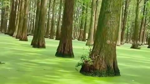 A little something to mess with your head