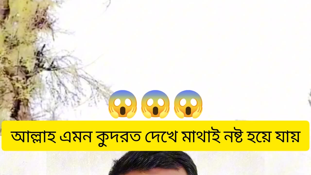 🌿 Miracle on Tree | গাছের ডালে লেখা আল্লাহর নাম 🌙