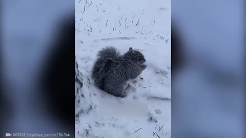 When an Animal Trusts Humans 🐶💞 A Beautiful Rescue Story