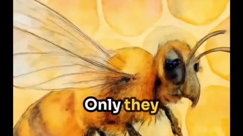 Bees