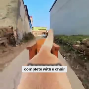 You Won't Believe What This Dog Did with a Cart!