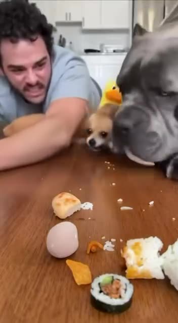 Potentially dangerous food eating contest