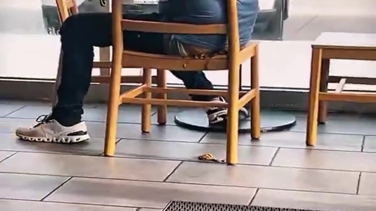 Indian's Contribution To Society