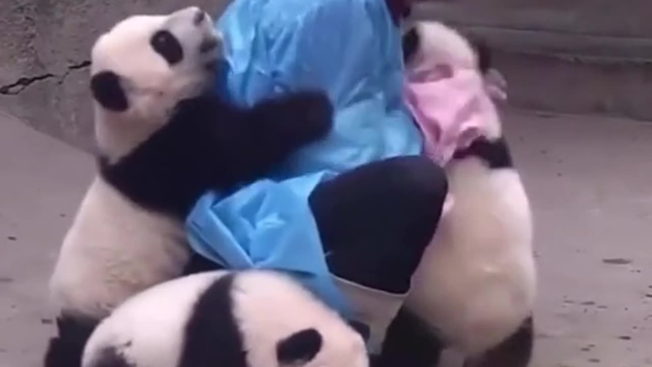 School day and some are more motivated than others