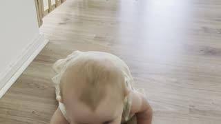 Daily crawl time 🐾 Baby Kayla on her little house adventure again