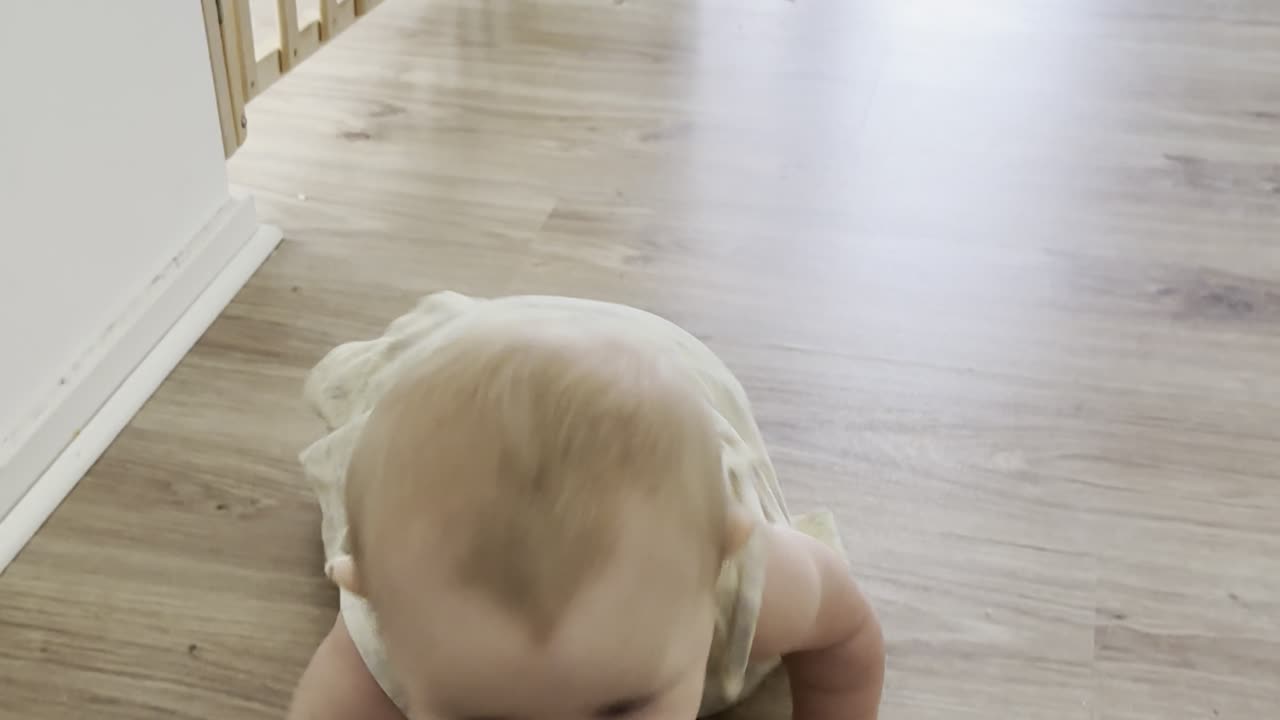 Daily crawl time 🐾 Baby Kayla on her little house adventure again