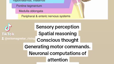 UNDERSTANDING BRAIN FUNCTION