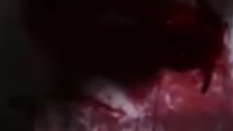 On-Set Scene Too Sweet! Lan Wangji’s Look at Wei Wuxian Says Everything 🔥