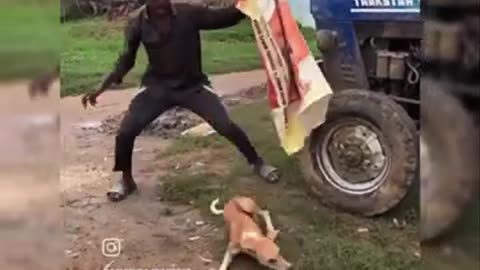 Top 100 Funniest Videos of All Time - Try Not to Laugh #24
