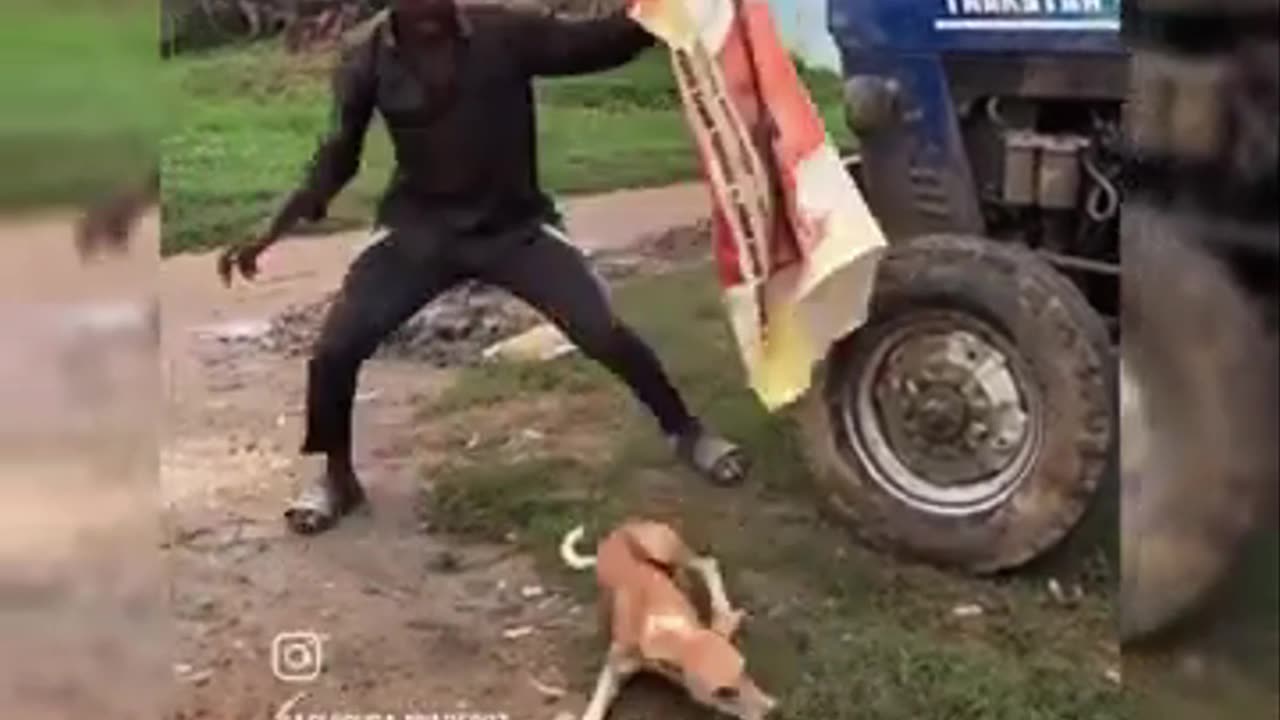 Top 100 Funniest Videos of All Time - Try Not to Laugh #24