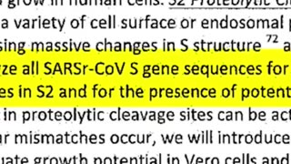 Document called The DEFUSE proposal was proposed to DARPA years before the COVID Pandemic