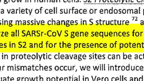 Document called The DEFUSE proposal was proposed to DARPA years before the COVID Pandemic