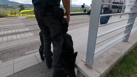 GDF FIRENZE: PROFONDO DOLORE PER LA PREMATURA SCOMPARSA (10.03.25)