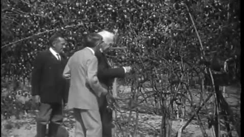 [THOMAS A. EDISON] - [THOMAS A. EDISON] - fc-fc-4392