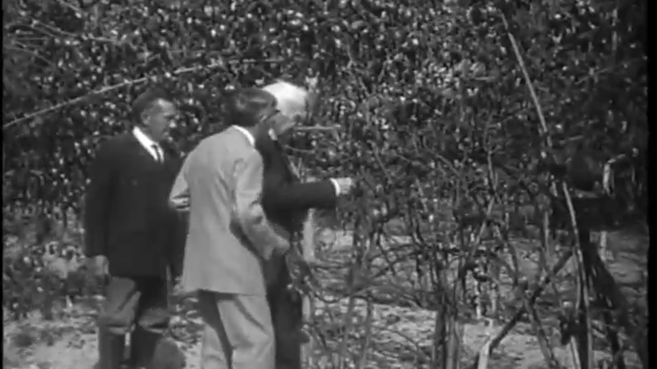 [THOMAS A. EDISON] - [THOMAS A. EDISON] - fc-fc-4392