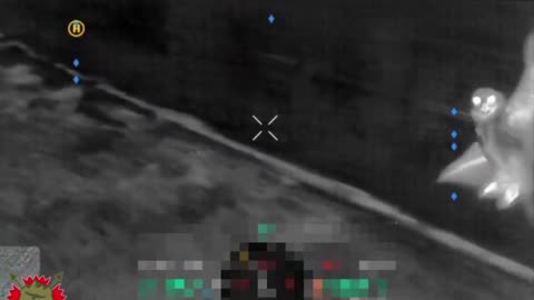 🦉⚔️ Ukraine Russia War | Owl Executes Aerial Combat Maneuver on Russian Drone | RCF