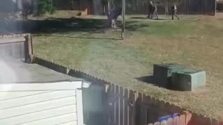 CBP agents had to chase an illegal alien, but Juan way or another they are going to get you.