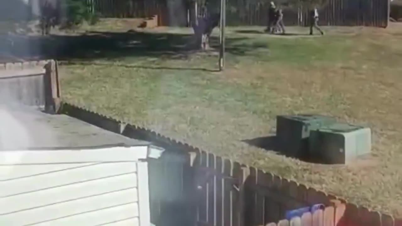 CBP agents had to chase an illegal alien, but Juan way or another they are going to get you.