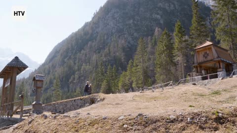 When Prey Fights Back